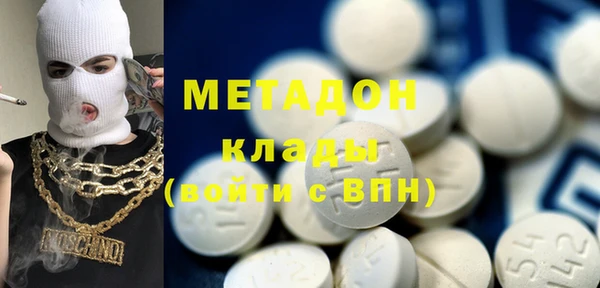 ПСИЛОЦИБИНОВЫЕ ГРИБЫ Болотное