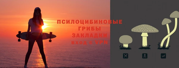 хмурый Липки