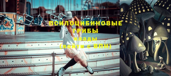 тгк Ладушкин