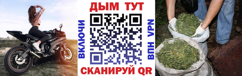 Конопля Bruce Banner  Малгобек 